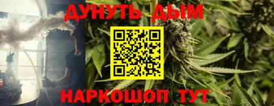 гидра Старая Купавна