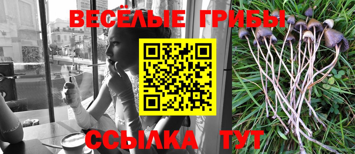 Псилоцибиновые грибы GOLDEN TEACHER  Вход с VPN  Северск 