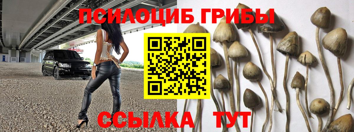 Псилоцибиновые грибы мухоморы Северск